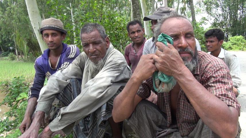 Aman farming in Lalmonirhat.jpg
