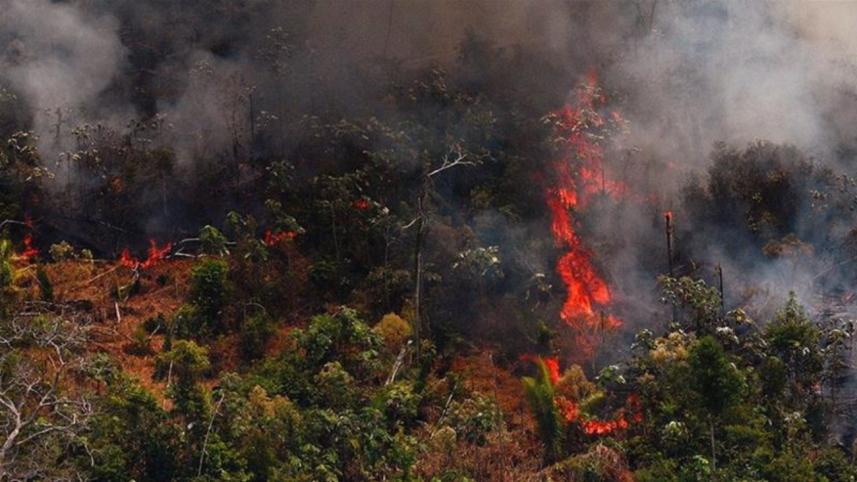Amazon rainforest fire.jpg
