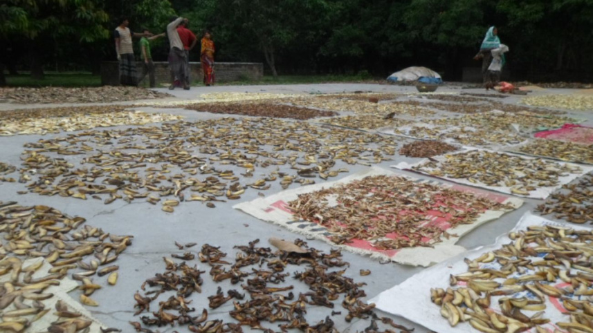 Amchur brightens 1.jpg