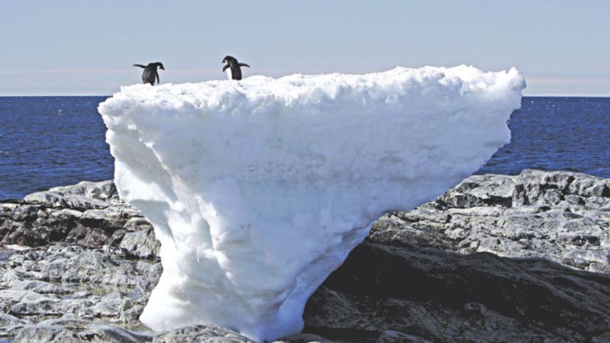 antarctica.jpg