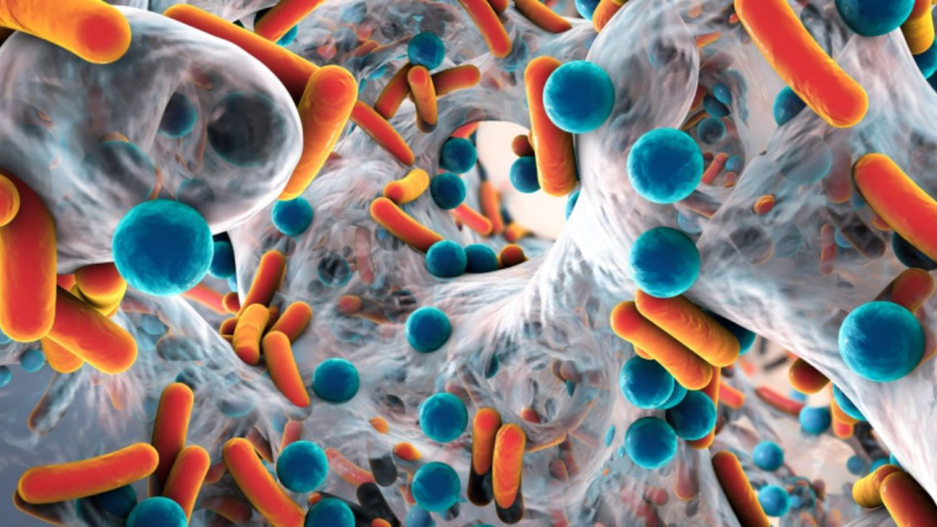 antimicrobial resistance