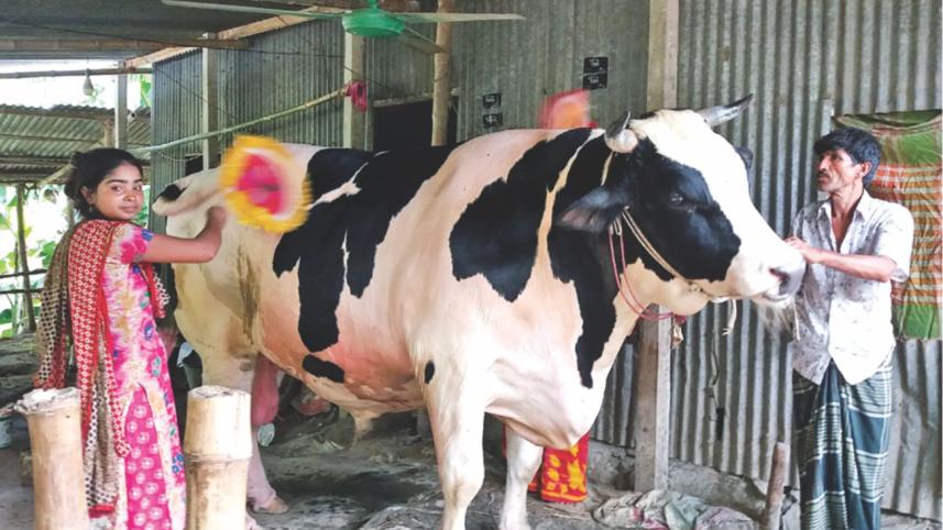 Attraction Raja Babu