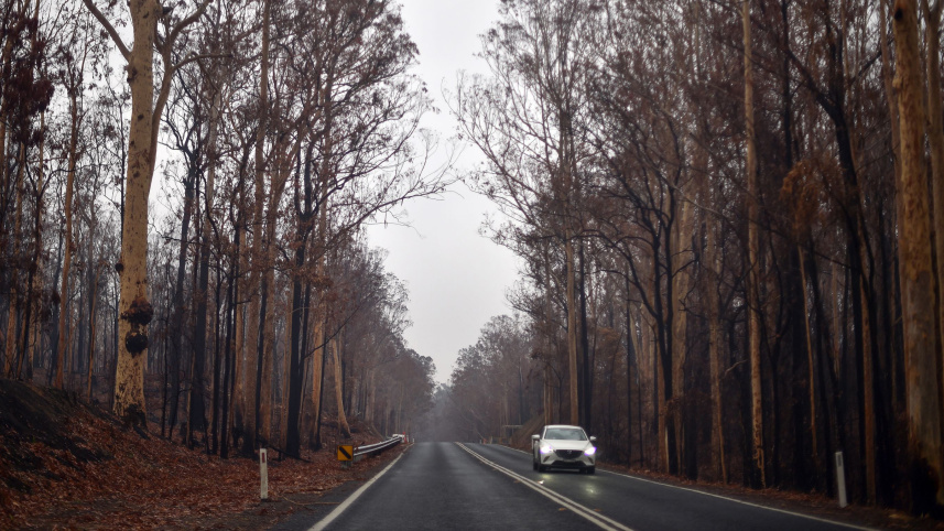 Australia bushfire.jpg