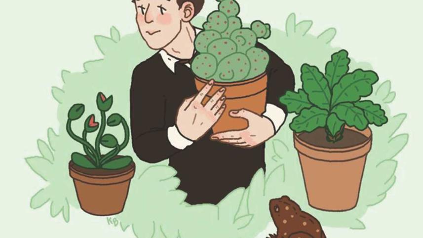 (Bad) Harry Potter Spin-offs