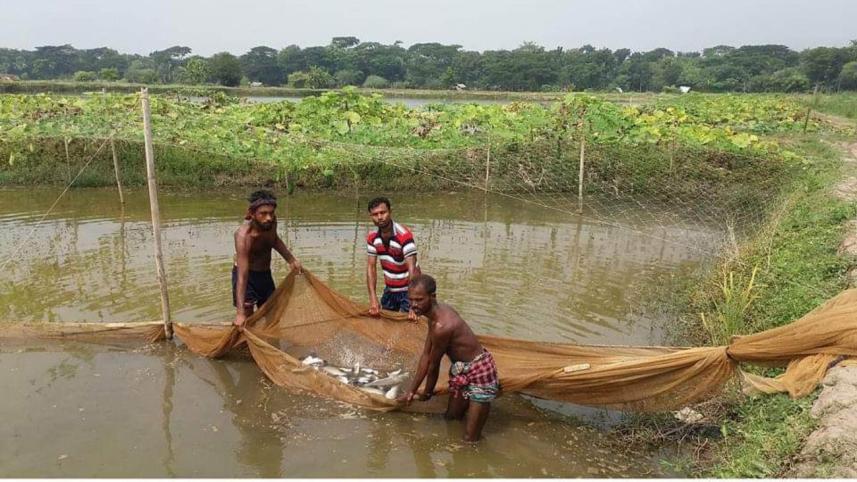 Bagerhat 01 -----(2).jpg