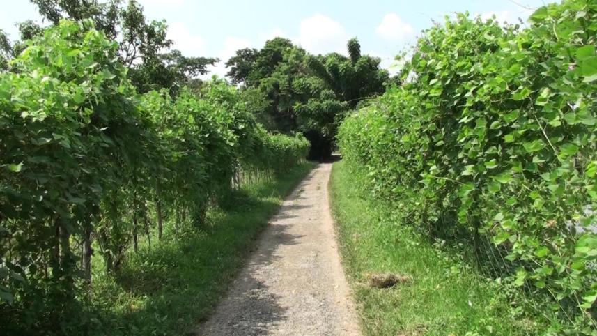 bagerhat green road.jpg