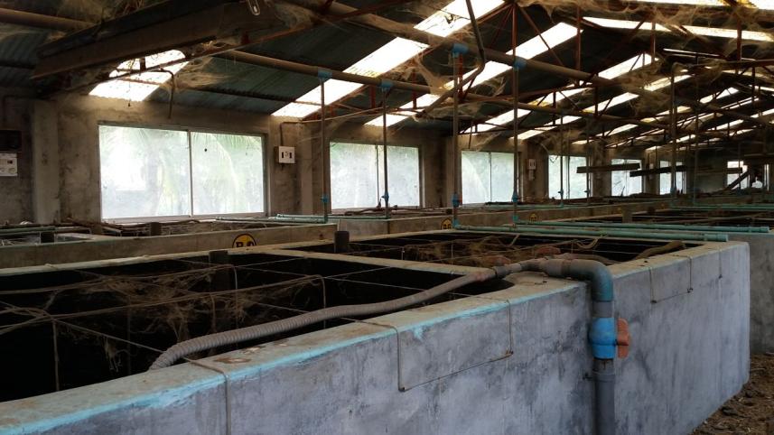 Bagerhat hatchery.jpg