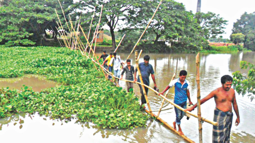 Bamboo bridge