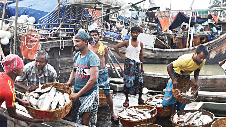 Barishal-hilsha.jpg