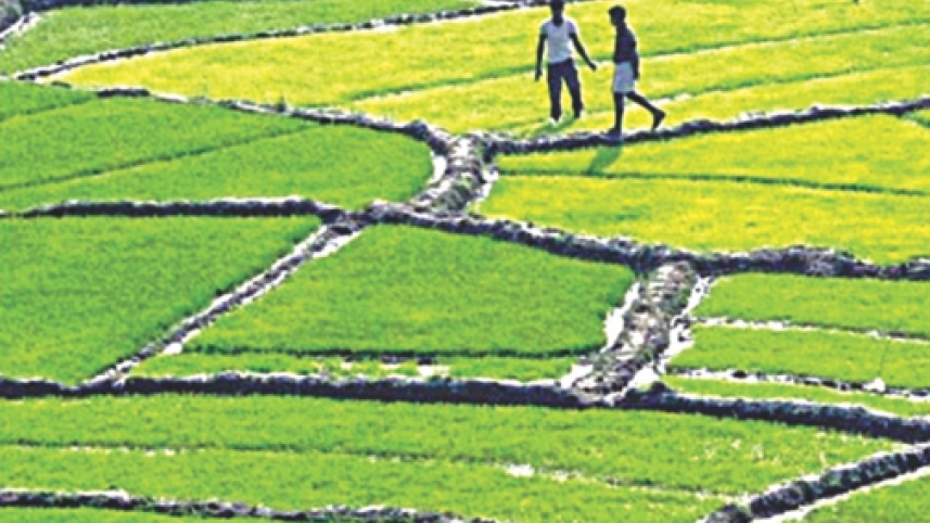 beautiful bangladesh 1.jpg