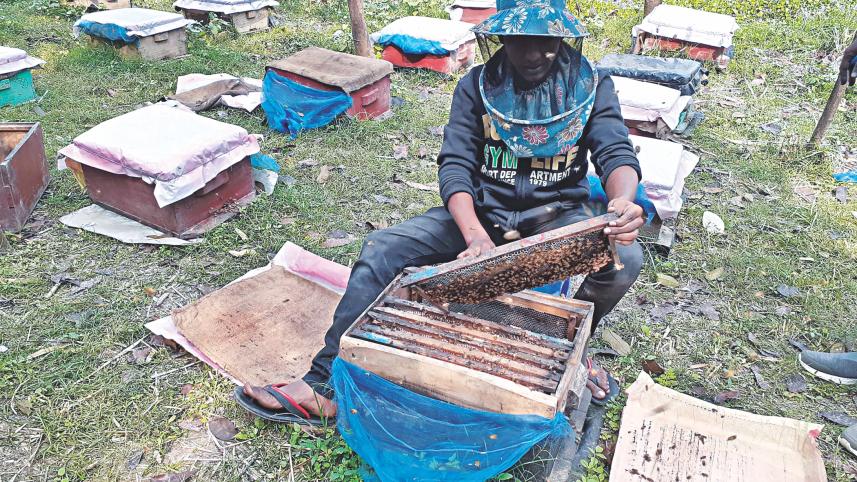 Beekeepers flourish 1.jpg