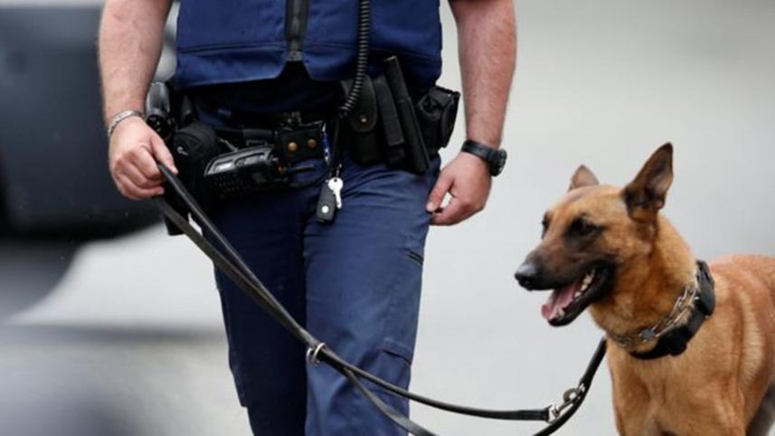 Belgium counter-terror raids