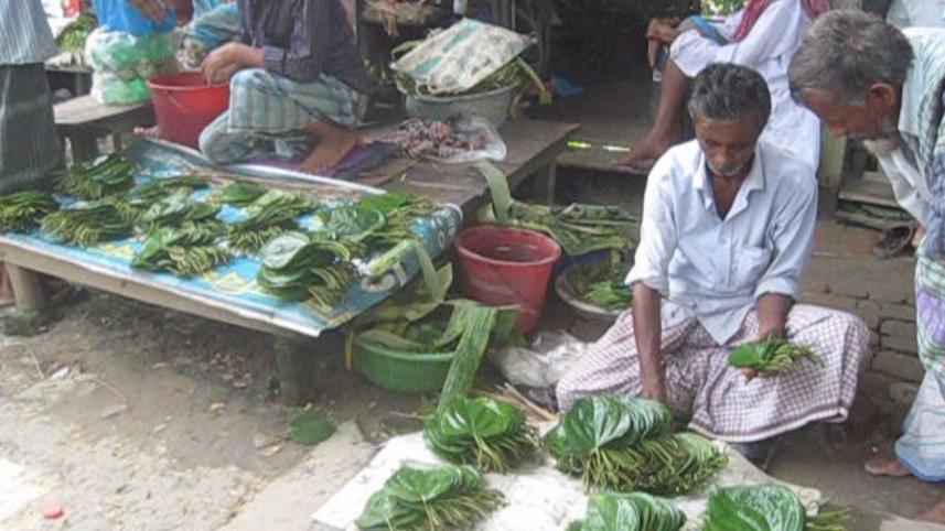 betel1.jpg