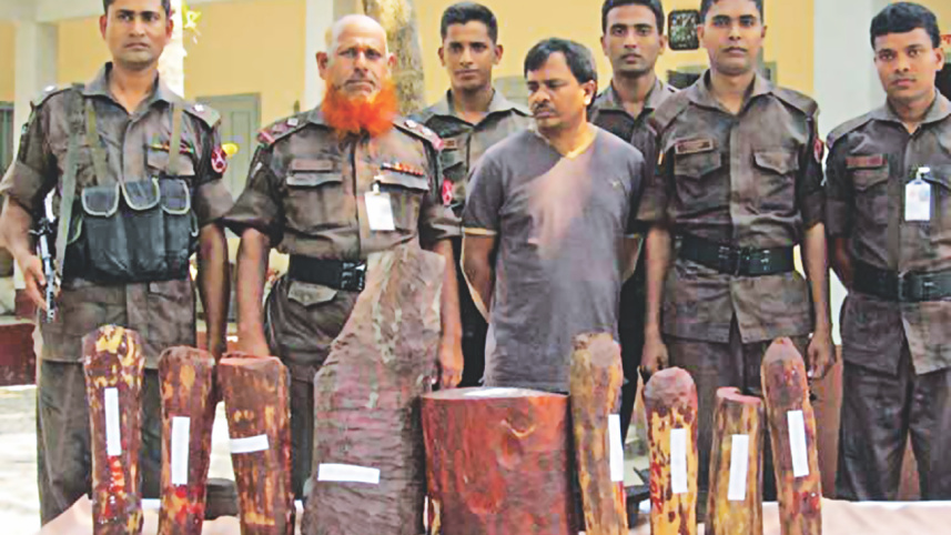 bgb seized sendalwood.jpg