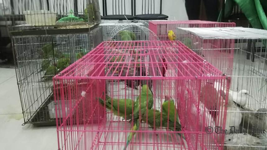150 birds rescued