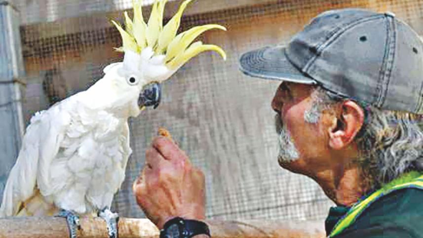 birds.jpg