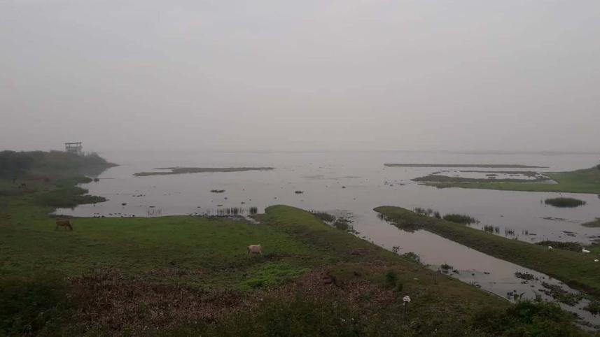 birds Baikka Beel 1.jpg