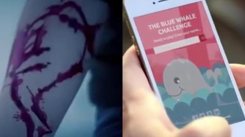 Blue Whale Challenge