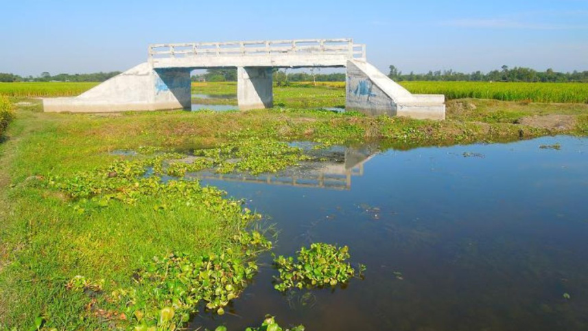 Bridge without roads.jpg