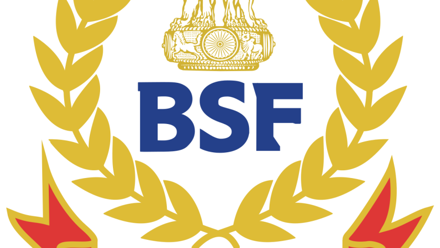 bsf logo.png