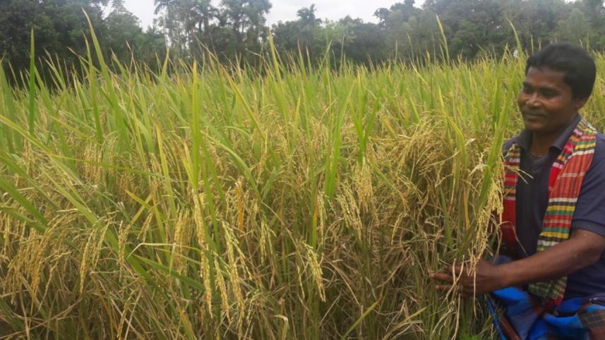 bumper aus production.jpg