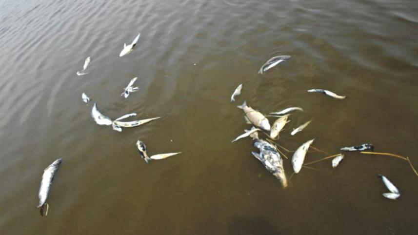 Fisheries department