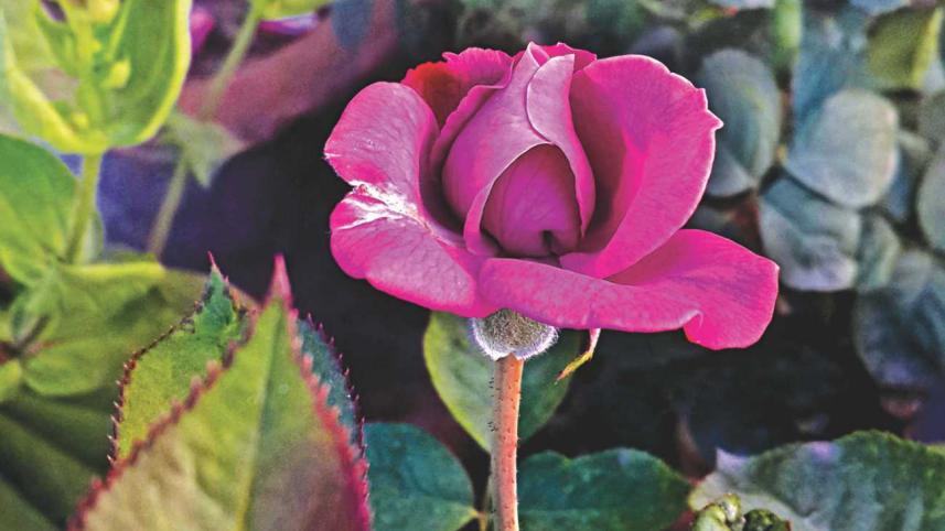 By any other name…