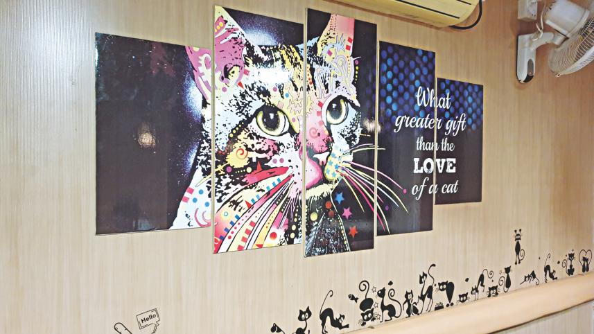Capawcino Cat Cafe 1.jpg