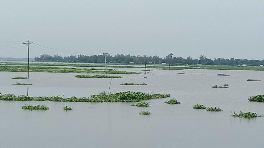 chalan-beel.jpg