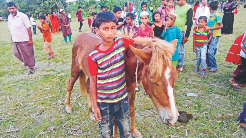 child horse jockeys.jpg