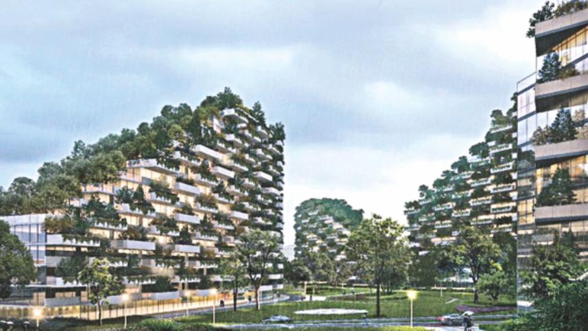 china forest.jpg