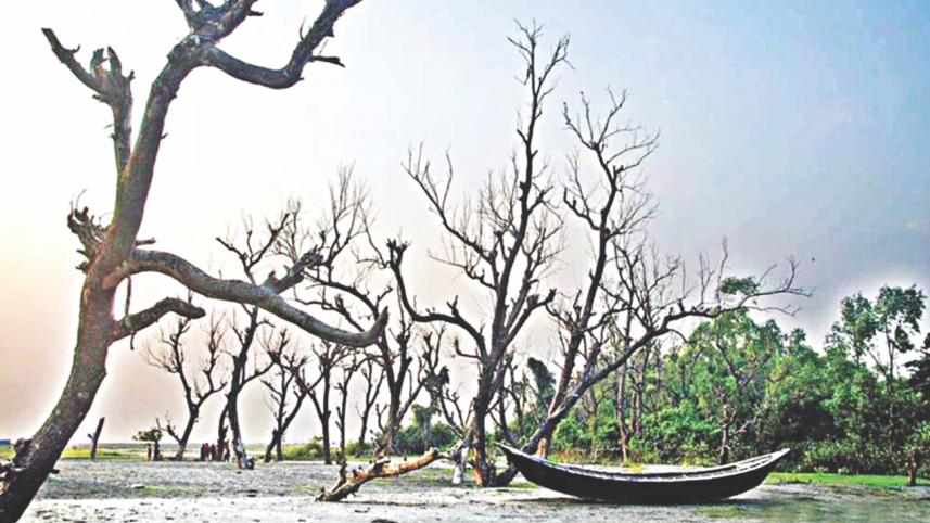 climate change 1.jpg