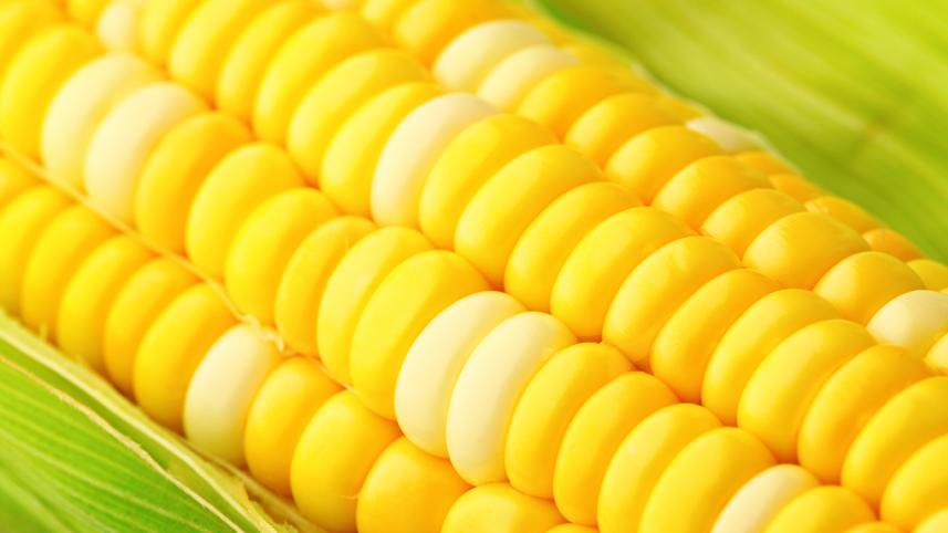 corn.jpg