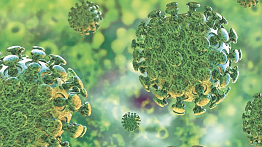 corona virus.jpg