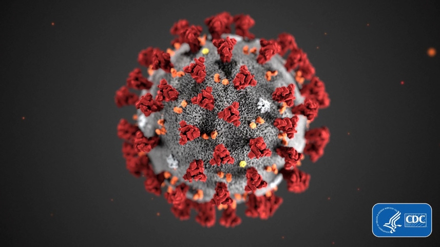 Coronavirus.jpg
