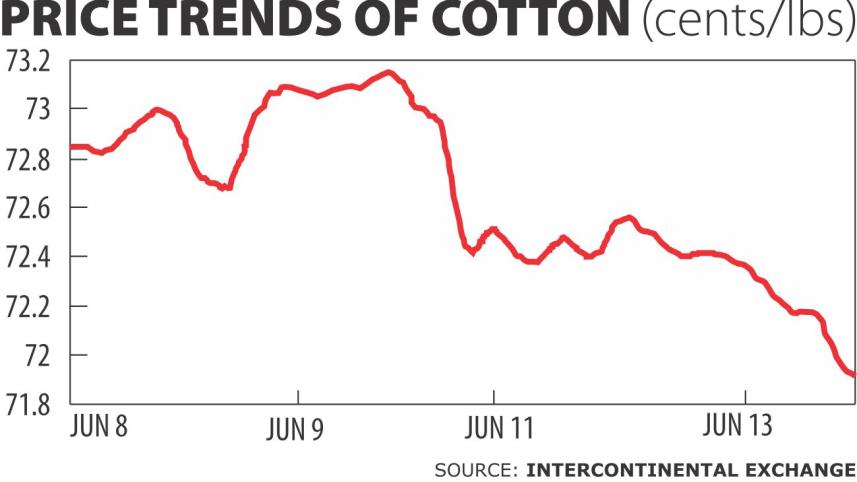 Cotton import rise.jpg