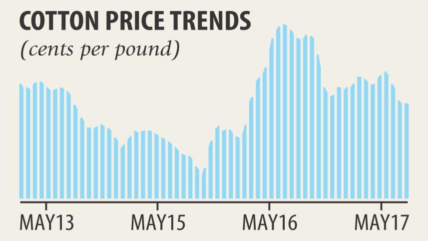 Cotton price rises.jpg