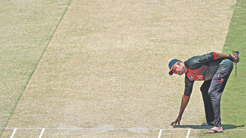 Courtney Walsh