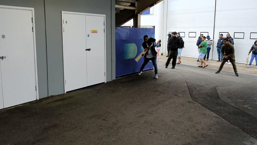 Cricket at Sophia.jpg