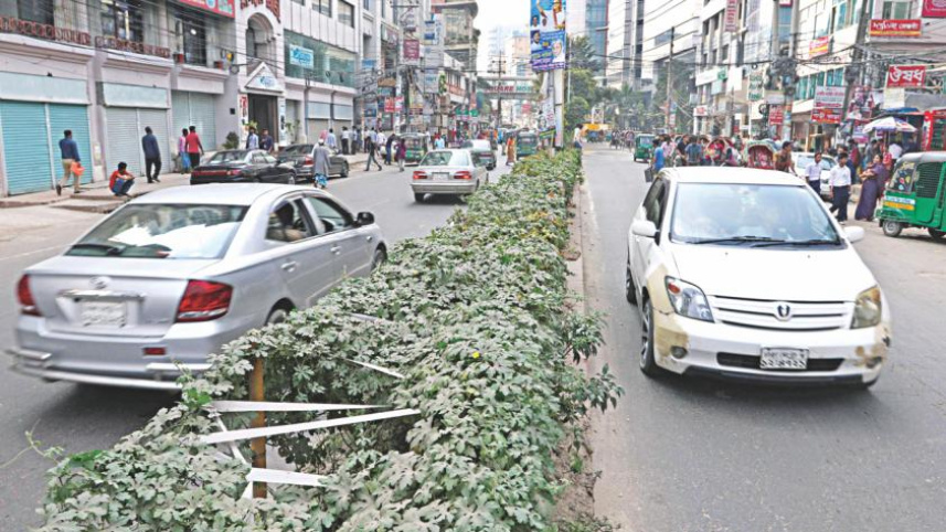 Cultivating vegetables in traffic island