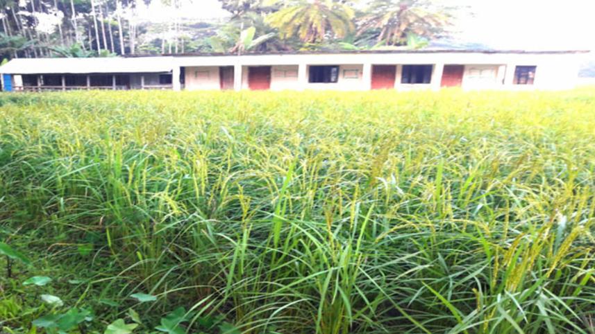 Dakkhin Hosnabad Government Primary School.jpg