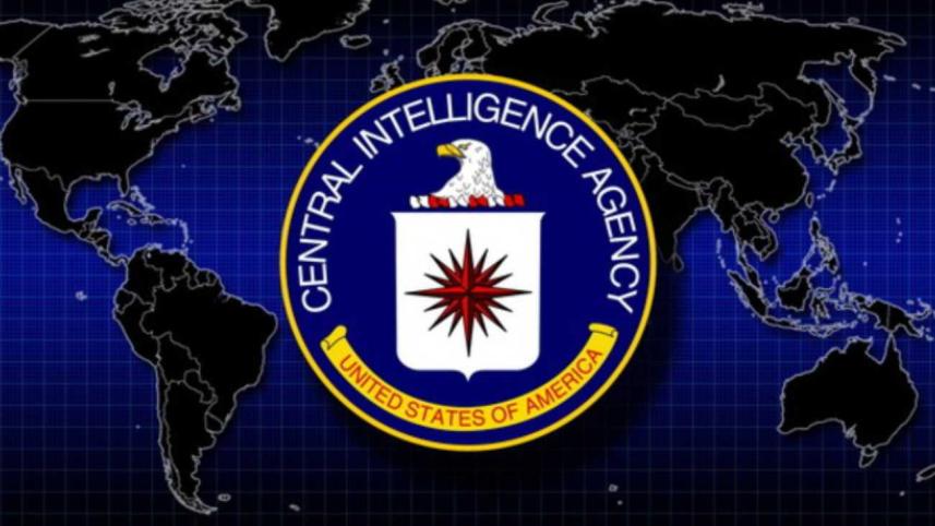 DECLASSIFIED CIA FILES, 1971