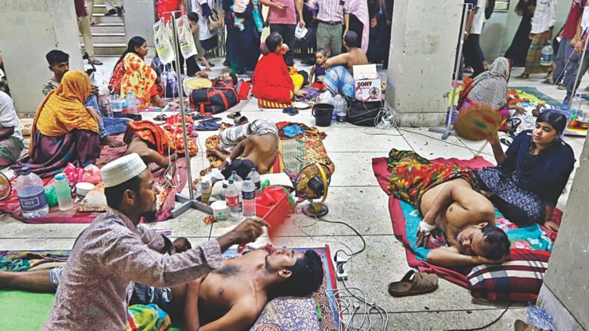 dengue fever patients