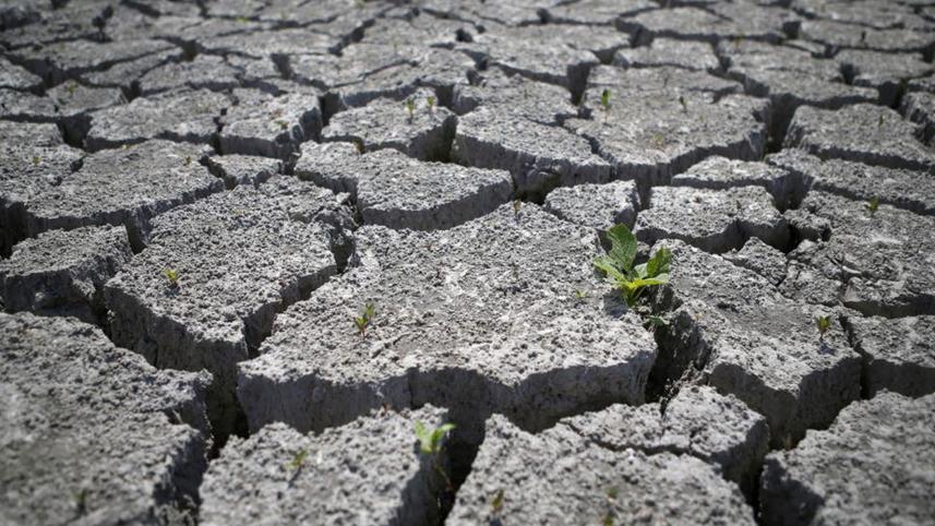 Desertification-And-Drought-Day.jpg