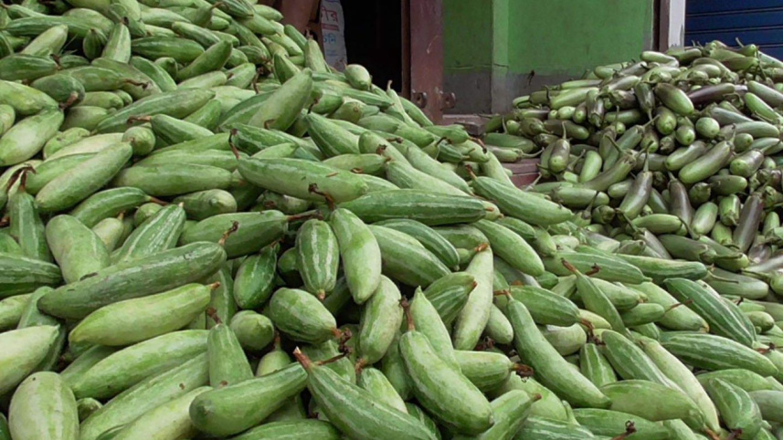 dinajpur potol price.jpg