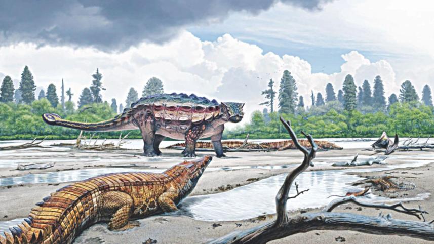 dinosaur.jpg