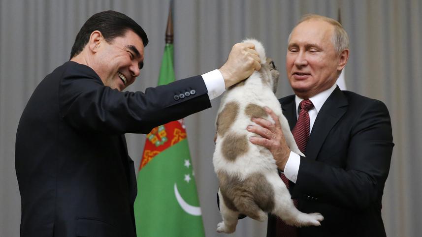 Dog-lover-Vladimir-Putin.jpg