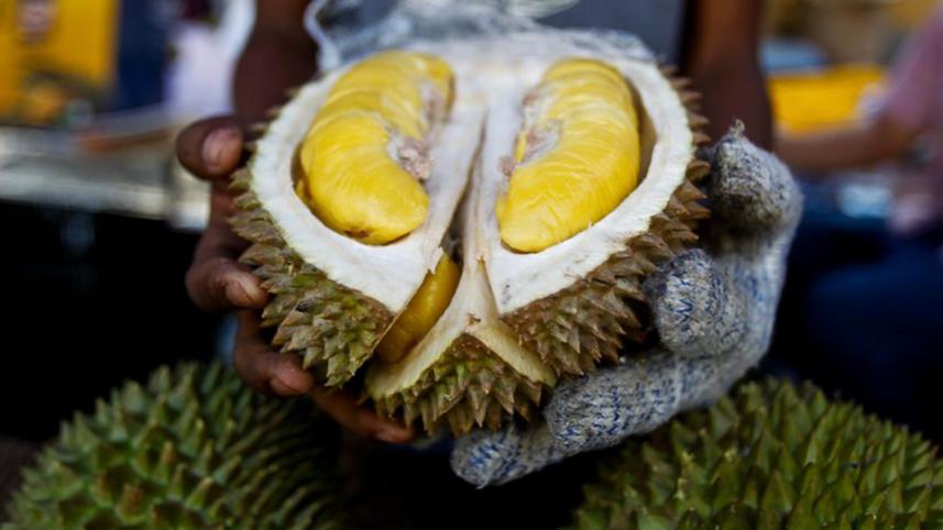 Durian fruit