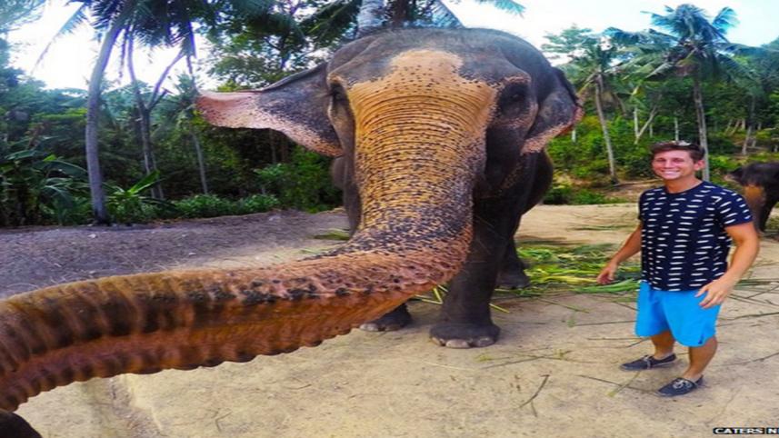 elephant selfie 1 new.jpg