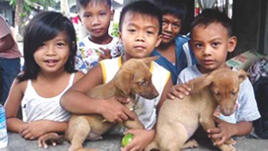 eliminate rabies.jpg